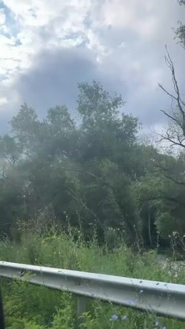The video shows a view from inside a vehicle looking out at a lush green landscape. The sky is partly cloudy with dramatic, dark clouds mixed with patches of lighter sky. Tall trees with dense foliage dominate the scene, with some branches appearing to sway. In the foreground, a metal guardrail runs along the side of the road, with tall green grass and wildflowers growing on either side of it. The vehicle appears to be moving, as indicated by the slight motion blur in the background. The overall impression is of a drive through a rural, natural setting, possibly before or during a rain shower.