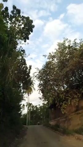The video shows a road with lush green trees on both sides under a bright sky with scattered clouds. The camera appears to be mounted on a vehicle moving along the road. As the vehicle progresses, a person on a scooter drives towards the camera. The scooter rider is wearing a light-colored shirt.