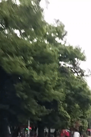 Strong winds documented on Dhaka street amid overcast conditions