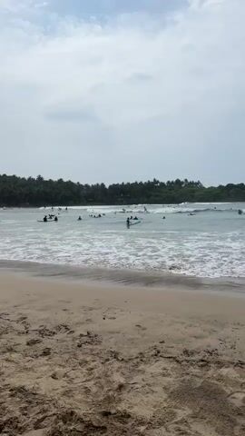 The video shows a beach with several people surfing in the ocean. The beach is sandy and stretches into the distance, with the ocean on the other side. The water is a greenish-grey color with white waves. There are many people in the water, most of whom are on surfboards. Some are standing and riding the waves, while others are sitting or lying on their boards. Palm trees and other vegetation line the shore in the background. The sky is overcast and grey.