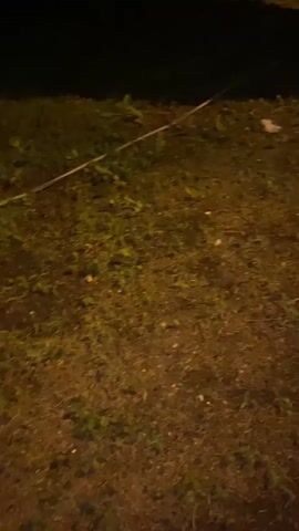 The video opens with a close-up of grass and dirt. A long, thin object, possibly a wire or hose, lies across the ground. The camera pans to the right, revealing a blurred area with faint lights and shadows, suggesting an outdoor environment at night. The video then abruptly cuts to a bright, abstract light effect, primarily red and white, before returning to a blurry outdoor scene. In this final shot, a building with windows is visible in the background. The foreground shows grass, and there are dark, indistinct shapes that could be animals or objects on the ground. A thin line, similar to the one seen earlier, is also present. The scene is dimly lit, and the focus is generally poor, making specific identification of objects or individuals difficult.