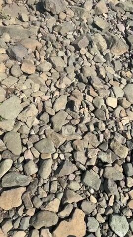 The video shows a rocky, uneven surface leading uphill. The ground is covered with a dense layer of stones and rocks of various sizes, from small pebbles to larger boulders. The path appears to be in a natural, undeveloped area, possibly a hiking trail or an unpaved road. On either side of the path, there are green trees and vegetation, suggesting a forest or mountainous environment. The sky is blue and clear, indicating a sunny day. The camera is moving forward, capturing the ascent.