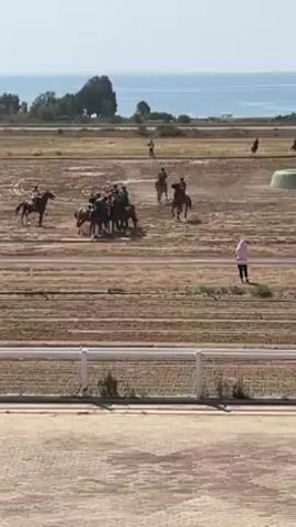 The video shows several people on horseback playing a game in a large, flat, dirt field on a sunny day. In the background, there is a body of water, possibly a sea or a large lake, with some trees visible. The horses and riders are grouped together in the center of the field, kicking up dust as they move. There is a white fence in the foreground, and a person in a white outfit standing near the fence, watching the game. The video appears to be taken from a slightly elevated position, possibly from a building or stand.