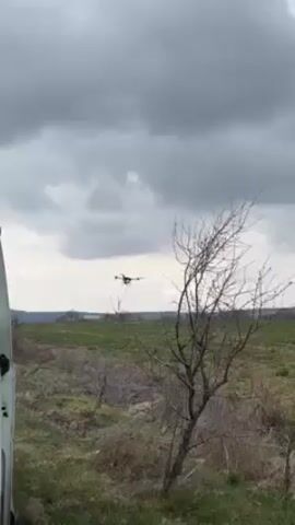The video shows a drone in flight above a field. The sky is overcast. There is a small, bare tree in the foreground. In the distance, there are hills.