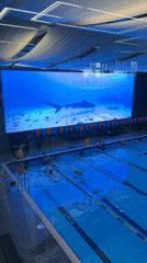 Votkinsk pool features underwater LED display with marine life