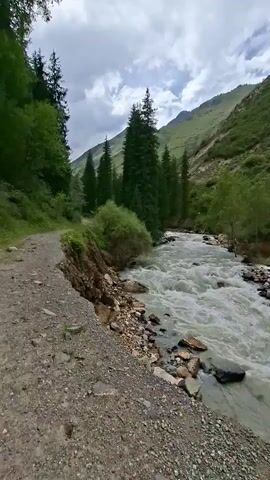A fast-moving, muddy river flows through a lush green valley. The riverbank on the right is rocky and lined with trees. On the left, a dirt path runs alongside the river. Tall evergreen trees dot the landscape, and green hills rise in the background under a cloudy sky. The camera pans slowly across the scene, capturing the movement of the water and the natural beauty of the environment. There are no people visible in the video.