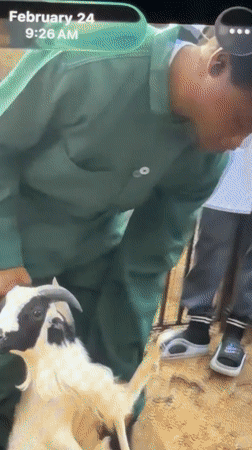 Veterinary anatomy work and everyday life in Bukuru, Nigeria