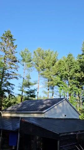 The video shows an outdoor scene with a clear blue sky. In the foreground, there are two structures, one appears to be a house with a grey roof and light-colored siding, and another is a darker, corrugated metal structure underneath it. Behind these structures, a line of various trees stands tall, their green foliage dense and lush. To the right side of the frame, a white pickup truck is parked amongst the trees. The overall environment suggests a rural or suburban setting with abundant greenery.
