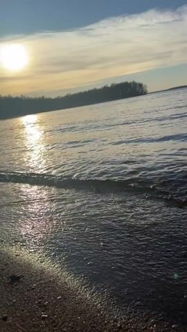 The video shows a sunlit shoreline, with small waves lapping onto a dark sand beach. The sun, low in the sky, glints off the water, creating a bright reflection path. In the background, a forested area is visible on the horizon. The sky is blue with scattered, thin clouds. The scene is still, with only the gentle movement of the waves evident.