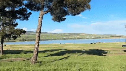 Scenic lakeside gathering spot captured in Tbilisi