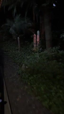 The video shows a low-angle shot moving through dense, dark vegetation at night. The primary focus is on several wooden carved figures, resembling totems or idols, interspersed among the plants. The figures are vertical and appear to be painted with facial features and patterns. One of the figures is to the left, and two are more centrally located, with a third blurred figure visible further to the right. The lighting is dim, suggesting it's either early morning, late evening, or an artificially lit outdoor environment. The motion of the camera indicates it is likely being moved, possibly by a person walking or a vehicle. The overall atmosphere is somewhat mysterious and potentially eerie due to the low light and the presence of the carved figures in a natural, overgrown setting.