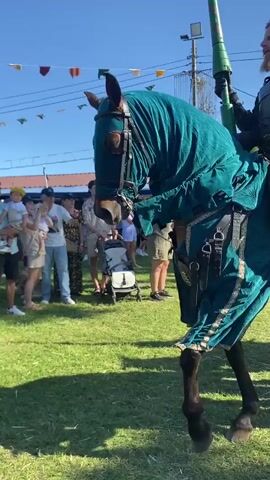 This is a vertical video filmed outdoors on a sunny day, likely at a medieval reenactment or renaissance fair. The video opens on a close-up of a horse adorned with an ornate teal fabric draped over its body and head. The horse is being ridden by a man in dark armor, holding a long lance with green and white accents. The horse is dark brown. In the background, there are spectators dressed in casual modern clothing. Some are standing and watching, while others are partially obscured. Colorful triangular flags are strung across the top of the frame.

The video then pans to the right, showing the rear of the first horse and rider. The horse's tail is visible.

The camera then shifts focus and pans left to reveal a second horse and rider. This horse is white and is also elaborately decorated with a vibrant red fabric covering its body and head. The red fabric has ornate crests and detailing. The rider is wearing a dark, armor-like costume and holding a lance. Spectators are visible in the background again, some holding children and others with strollers. The second horse appears to be moving, its front legs slightly raised. The interaction between the two horses and riders is not explicitly shown, but their proximity suggests they are part of a display or event. The ground is covered in green grass. The overall atmosphere appears festive.