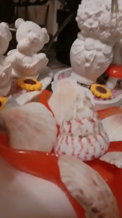 Browsing a seasonal home décor display in Wedel, Germany