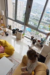 Playtime across a Mumbai apartment and its surrounding park
