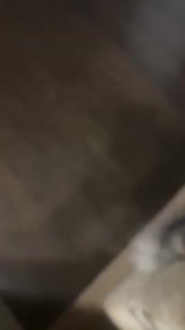A close-up video shows a fluffy grey and white cat looking directly at the camera. The cat's eyes are wide and its ears are perked. The cat is lying down on a soft, furry surface. The background is blurred and appears to be a dark, wooden surface. The video is very short, lasting only a few seconds.