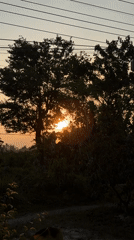 Indonesian woman documents sunset, flora, daily life in Gadingrejo
