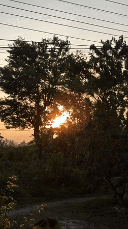 Indonesian woman documents sunset, flora, daily life in Gadingrejo