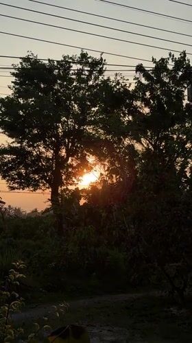 Indonesian woman documents sunset, flora, daily life in Gadingrejo