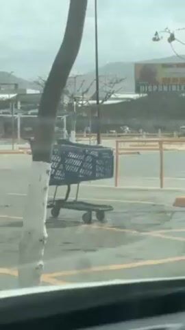 The video shows a blue shopping cart in a parking lot on a cloudy day. The cart is empty and positioned between parking spaces.  A few trees are visible, along with other parked cars and a billboard in the distance that reads "DISPONIBLE" followed by a phone number. The ground is wet, suggesting it has been raining. The view is from inside a car, looking out the windshield. A small portion of the car's dashboard and side window frame are visible at the bottom of the frame.