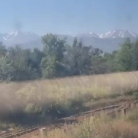 This video shows a slightly blurry, wide-angle view of a rural landscape. The foreground is dominated by dry, tall grass and some dirt tracks. A vertical pole, likely a utility pole or part of a fence, is positioned prominently in the right foreground. Beyond the grass, there is a line of trees and bushes. In the background, a range of mountains with snow-capped peaks is visible under a clear blue sky. The lighting suggests it is daytime, likely morning or afternoon. The camera appears to be moving, possibly from a vehicle, as indicated by the slight motion blur and the perspective. No people are visible in the frame. The overall impression is of a natural, somewhat undeveloped area.