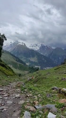 High-altitude trek through Burwa's mountain terrain at 3,300m+