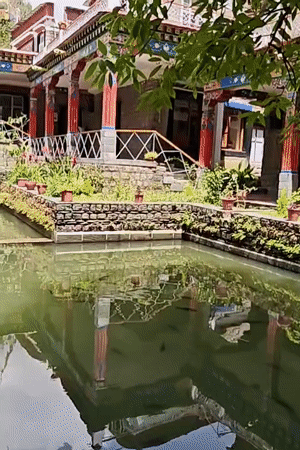 Morning visit captured at Tibetan-style complex in Fatehpur