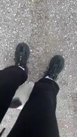 The video shows a person standing on a gravelly surface with patches of snow. The person is wearing black shoes and black pants. A calico cat approaches the person and rubs against their legs. The cat is white with patches of orange, black, and brown. The video is shot from a high angle, looking down at the person and the cat.