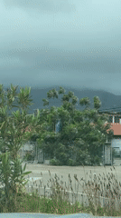 Strong winds shake trees in Bar, Montenegro morning