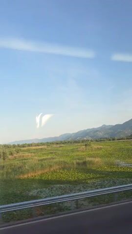 The video captures a scenic view from a moving vehicle, likely a bus or car, looking out over a landscape near Vranjina, Montenegro. The foreground shows a road with a metal guardrail, suggesting a highway or main road. Beyond the road, there's a vast expanse of green fields, densely covered with vegetation, including what appear to be water plants or lily pads in some areas, and scattered trees. In the mid-ground, a line of lush green trees separates the immediate field from the more distant landscape. The background features a range of mountains under a clear, bright blue sky with a few faint, wispy clouds.

Around the 0:02 mark, a distinctive and unusual light phenomenon appears in the sky. It manifests as a bright, somewhat iridescent, vertical streak or arc of light, almost resembling a partial rainbow or a light reflection, before slowly fading away by the 0:03 mark. The overall impression is a sunny daytime scene, possibly late morning or early afternoon, highlighting the natural beauty of the region. No people or text are visible in the frame.