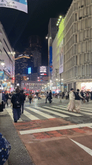 Routine nighttime pedestrian traffic observed at Shibuya crossing