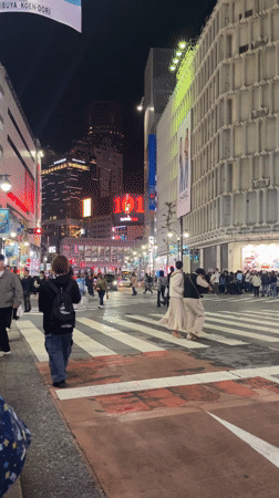 Routine nighttime pedestrian traffic observed at Shibuya crossing