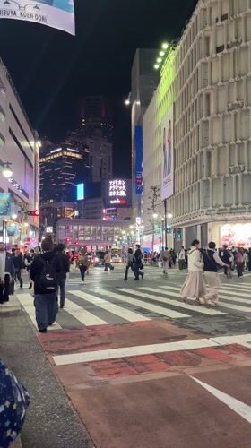 Routine nighttime pedestrian traffic observed at Shibuya crossing
