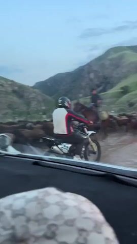 A person on a dirt bike is driving through a herd of sheep on a dirt road. A person on a horse is also present, seemingly helping to herd the sheep. The background consists of a valley with green hills and mountains. The sky is overcast.