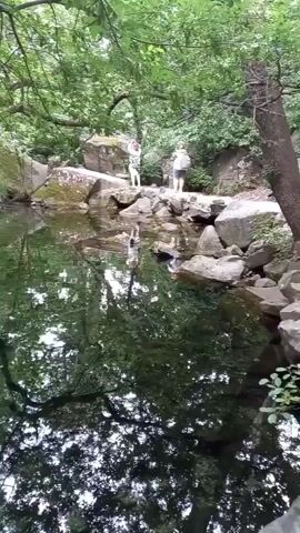 The video shows a tranquil natural scene with a clear body of water, possibly a pond or lake, reflecting the surrounding lush green trees and rocky formations. Two individuals, one wearing a light-colored shirt and the other a darker shirt, are standing on the rocks near the water's edge. They appear to be observing the water or the scenery. The camera pans slightly, revealing more of the rocky shore and the dense foliage overhead. As the video progresses, a vibrant orange koi fish swims into view in the clear water, adding a splash of color to the otherwise green and brown landscape. The overall atmosphere is peaceful and serene, suggesting a natural park or a quiet outdoor setting.