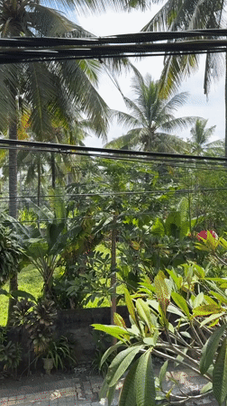 Tourist documents Medewi surf spot scenes in Indonesia