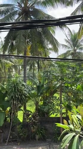 Tourist documents Medewi surf spot scenes in Indonesia