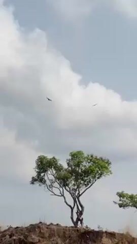 The video shows a natural environment being disrupted by human activity. Initially, the camera focuses on the sky with two birds flying against a backdrop of clouds and trees. The camera then pans down to reveal a yellow front-end loader working in a sand or dirt quarry. Three people, two wearing football jerseys with numbers 3 and 5, are walking towards the loader on a dirt path. The landscape consists of rough terrain with sparse vegetation.