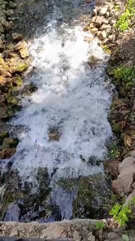 This is a video of a narrow, rocky creek with a fast-flowing stream. The creek is lined with large stones and some greenery, suggesting a natural outdoor setting. The water is white and frothy in the middle, indicating turbulence or a small waterfall. Sunlight filters through the trees, casting dappled shadows on the water and banks, suggesting it is daytime. The overall mood is peaceful and natural. There are no people or specific objects visible in the frame, other than the natural elements of the creek, rocks, and vegetation. There is no visible text in the video.
