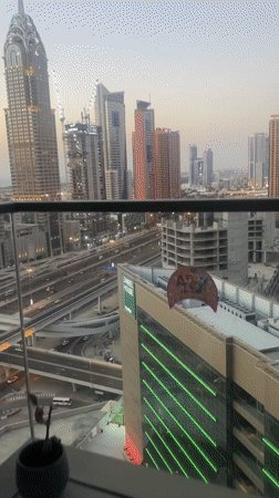 Family leisure day across a Dubai high-rise property