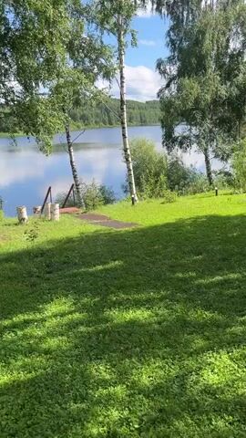 This is a short, vertical video taken outdoors on a sunny day. The foreground is dominated by a lush green lawn with dappled sunlight creating a shadow pattern. In the midground, there are several tall birch trees with white bark and green leaves. To the left of the birch trees, there is a small wooden dock or platform with a red ramp leading down to the water. Several short, cylindrical wooden logs are placed on the grass near the dock. Beyond the trees and the lawn is a large, calm lake reflecting the blue sky and white clouds. The far bank of the lake is lined with a dense forest. The overall scene is tranquil and appears to be a natural landscape setting.