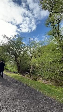 Two individuals are walking along a gravel path toward a large, stone castle. The castle is gray and has multiple towers and a flag flying from one of them. Lush green trees surround the path and castle, and there is a garden with flowers on the left side of the path. The sky is partly cloudy, with patches of blue. The sun is shining brightly, creating a contrast of light and shadow on the castle and surrounding landscape. The camera follows the two individuals as they approach the castle's entrance.