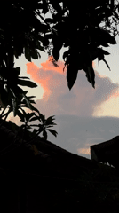 Morning scenes in North Kuta: twilight skies, coconut truck