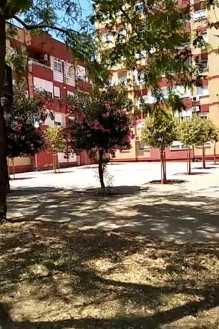 The video shows a courtyard with trees and a building. The building appears to be an apartment building, painted yellow with red trim. There are several trees in the courtyard, some of which are blooming with pink flowers. The ground is paved with brick in some areas and covered with dirt and grass in others. The sun is shining, casting shadows from the trees on the ground. The camera is panning slowly from right to left, showing different parts of the courtyard.