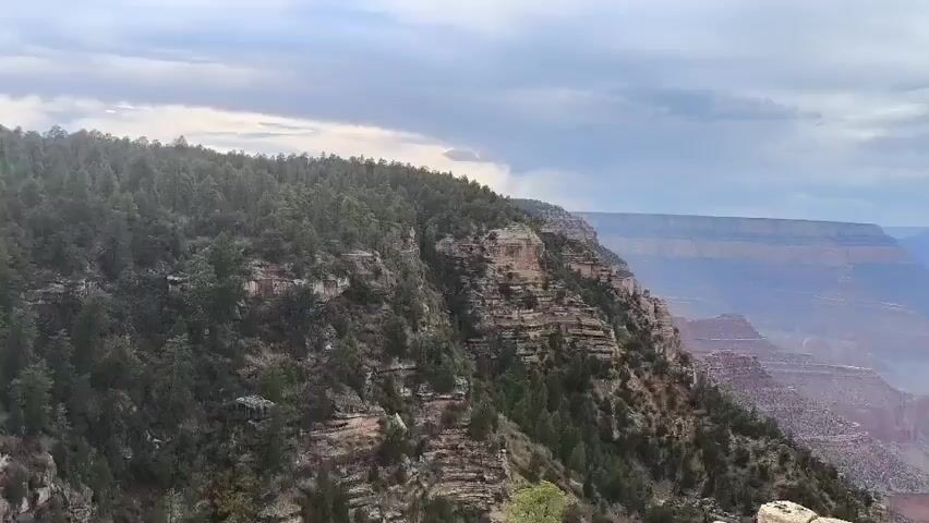 The video pans across a wide, majestic view of the Grand Canyon. In the foreground, rugged, rocky terrain is covered with dense green pine trees. Small, dark structures that appear to be shelters or overlooks are visible nestled within the trees on the left side of the frame. The camera then moves to reveal the vast expanse of the canyon, with its layered rock formations stretching into the distance. A light haze or mist partially obscures the far reaches of the canyon, creating a sense of depth and atmosphere. The sky above is cloudy, with patches of grey and white. The overall scene conveys a sense of immense natural beauty and scale.
