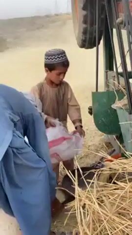 A young boy, wearing a kufi cap and light brown traditional clothing, kneels on the ground in an outdoor agricultural setting. He is actively engaged in handling a white and pink woven bag, which appears to be filling with grain or processed material from a large thresher machine. The machine, colored green and black with visible belts and components, is positioned on the right, with a tractor wheel partially seen at the top. Piles of dry straw and chaff are scattered on the dusty ground around the boy and the machinery. Another person, dressed in blue traditional attire, is partially visible on the left side of the frame.

In the background, a significant amount of light-colored, processed material is being expelled from the thresher, creating a dusty and hazy atmosphere across the dry, open land. Faint structures resembling power lines or transmission towers are discernible on a distant hill. The scene depicts a labor-intensive agricultural activity, likely grain threshing, taking place during the daytime under hazy conditions. The bag the boy is holding features some text in an Arabic script. This activity is situated in Alaqadari Daman, Afghanistan.