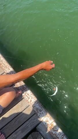 This media file captures a moment on a wooden pier or dock next to a body of water, likely Köyceğiz, Turkey. The scene is bathed in bright sunlight, suggesting it's daytime, possibly midday or afternoon, with clear weather. The water is a vibrant green, indicative of a lake or calm sea.

The primary subject is an older man, sitting cross-legged on the wooden planks. He is wearing a white tank top and dark shorts. His skin is tanned, and he appears to be engaged in fishing. In his hands, he is holding a fishing line with a small fish attached to it. His facial expression is neutral, perhaps focused on the task at hand.

Beside him, partially visible, is another person, seen from the knees down, wearing flip-flops. Further back, other individuals are visible, including a child in blue and white tie-dye clothing. A silver bucket, likely used for fishing, is also present on the dock. The wooden planks of the pier show signs of wear and weathering, with some rusty metal fixtures along the edge.

The activity is clearly fishing. The man has successfully caught a fish and is in the process of reeling it in or handling it. The presence of other people suggests a communal or family outing. The overall atmosphere appears relaxed and casual, typical of a day spent by the water. No visible text is present in the media file.