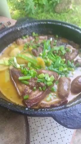 A close-up shot shows a black cast-iron pot filled with a hearty stew. The stew appears to be a rich, yellowish broth containing chunks of meat, sliced potatoes, and garnished generously with chopped green onions. The meat pieces look savory and tender, with some bearing a dark, caramelized sear. The potatoes are soft and have absorbed the color of the broth. The green onions add a fresh, vibrant contrast to the dish.

The pot is sitting outdoors on a surface that seems to be made of stone or concrete, possibly a patio or a rustic outdoor cooking area. In the background, out of focus, is lush green foliage, suggesting an outdoor setting with natural elements. The lighting implies it could be daytime, possibly late morning or afternoon, with soft sunlight filtering through. The overall impression is one of a rustic, home-cooked meal prepared and served outdoors, possibly in a rural or garden setting. There is no visible text in the media.