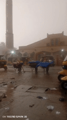 Foggy street scenes documented in commercial district during overcast conditions