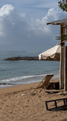Peaceful beach scenes with dog documented in Denpasar
