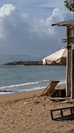 Peaceful beach scenes with dog documented in Denpasar